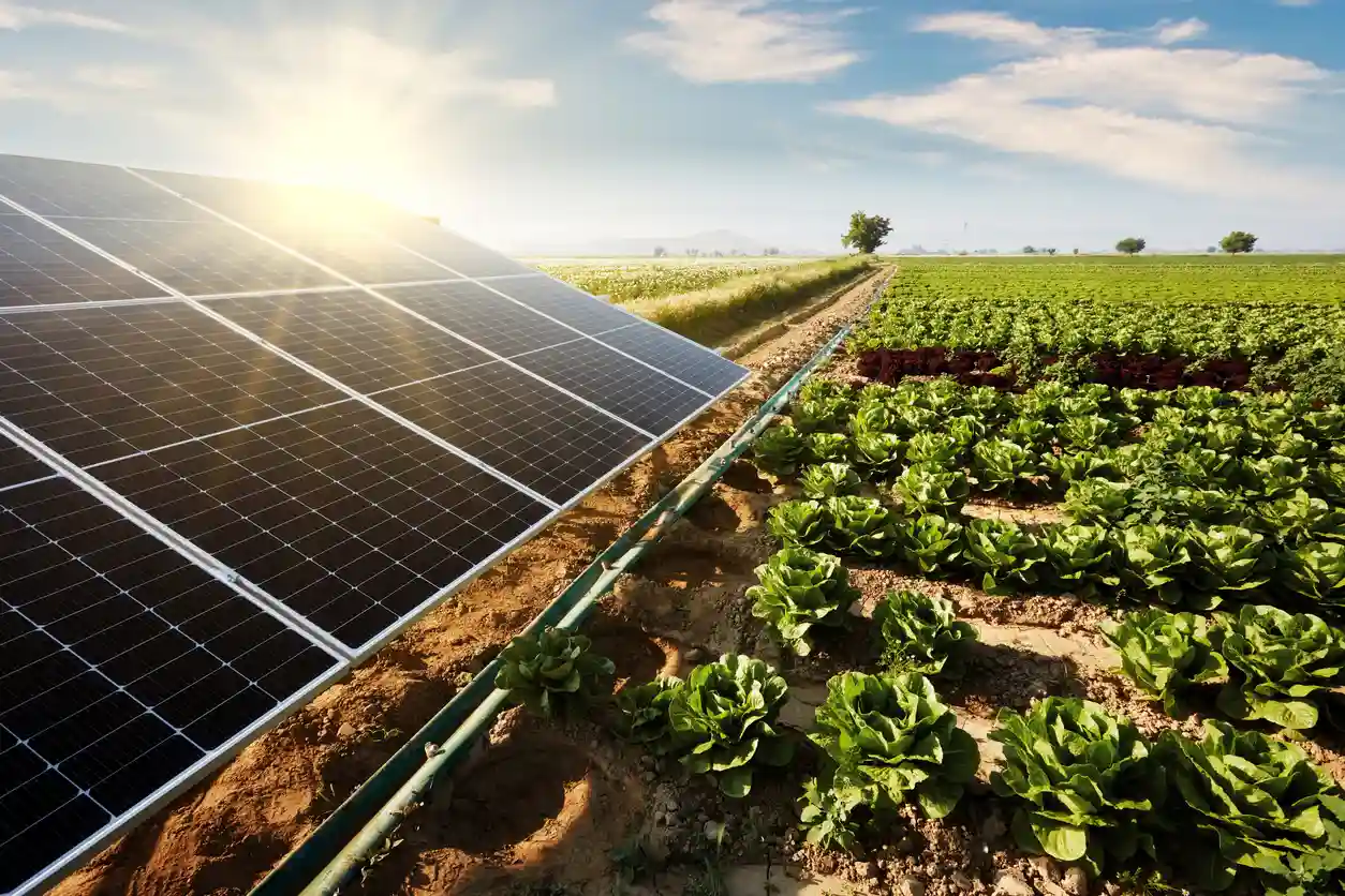 Como calcular o retorno do investimento em energia solar rural