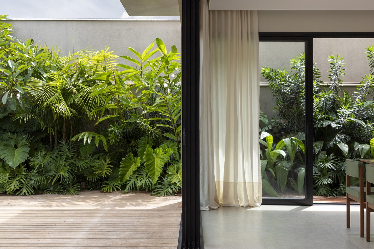 Como Escolher a Melhor Trepadeira para Seu Muro Verde