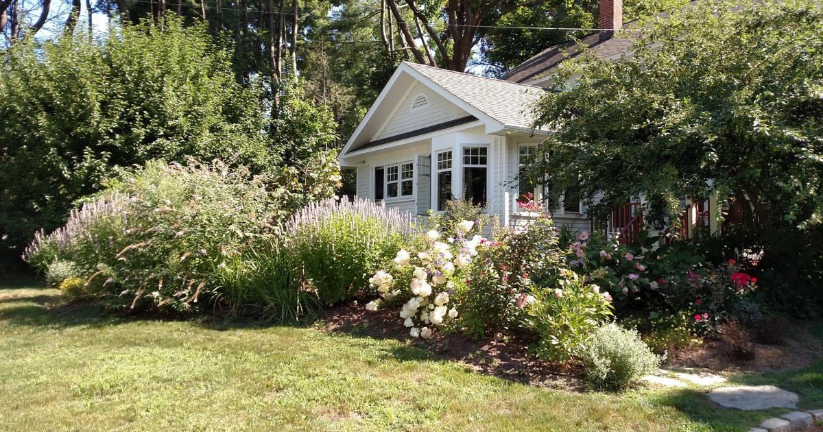 Guia Completo de Plantas para Canteiros na Base do Muro