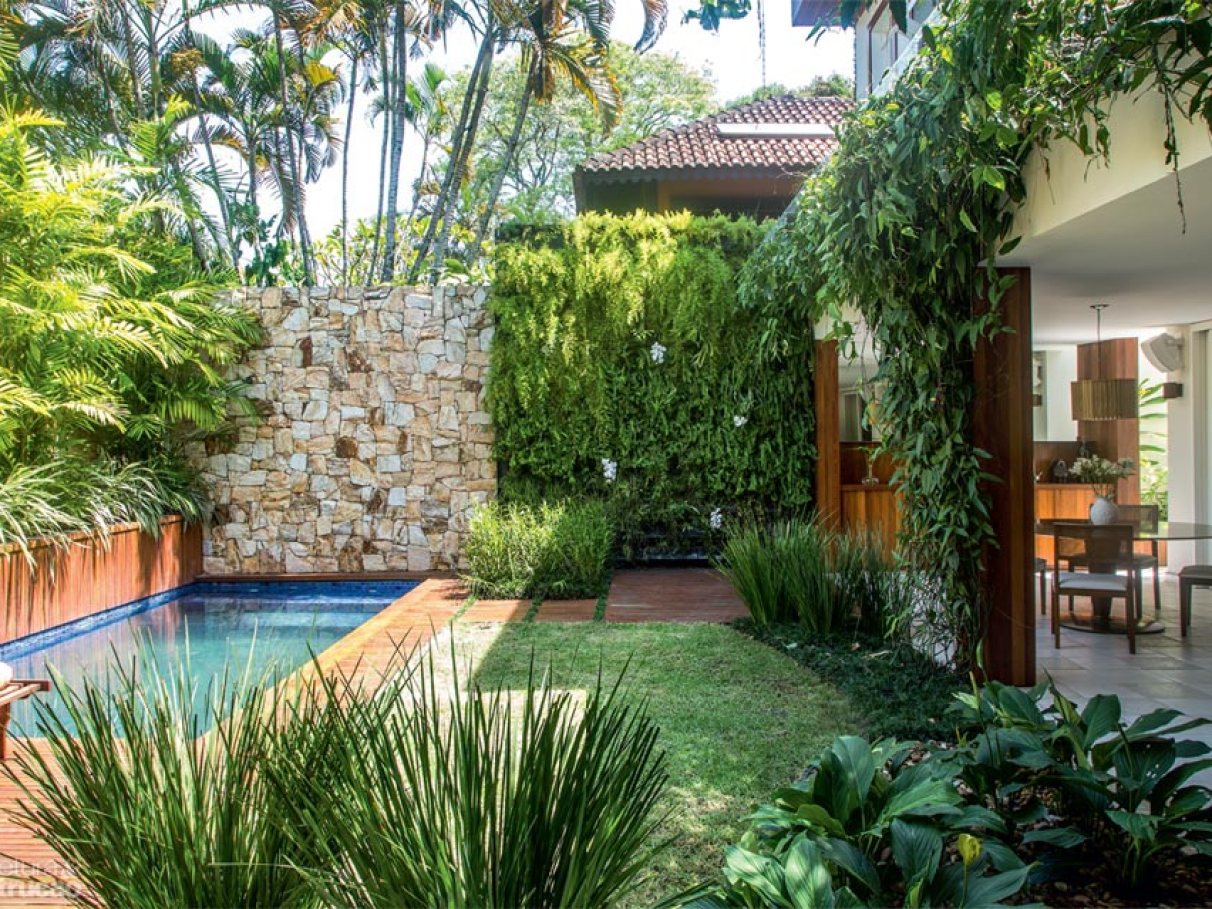 Plantas para Muro: Dicas Essenciais de Luminosidade e Manutenção