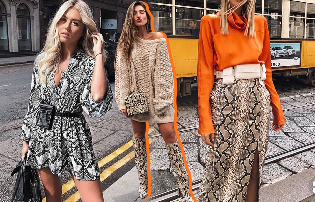 Como usar a estampa de cobra no dia a dia