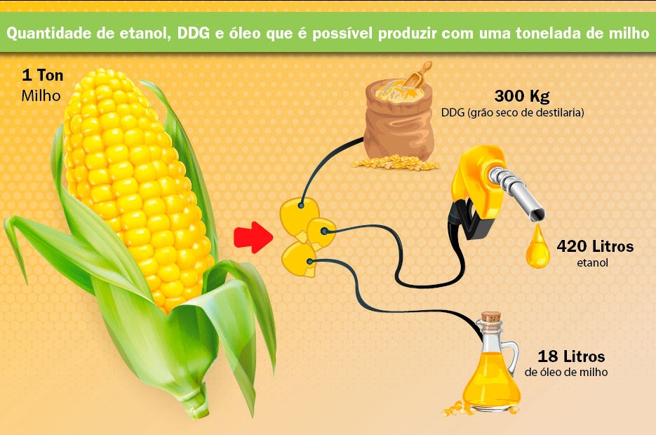 etanol de milho como é produzido