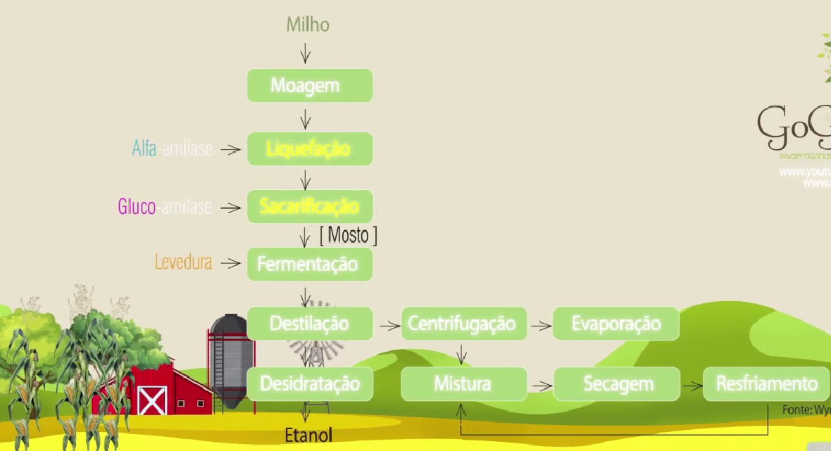 Guia Completo dos Coprodutos do Etanol de Milho
