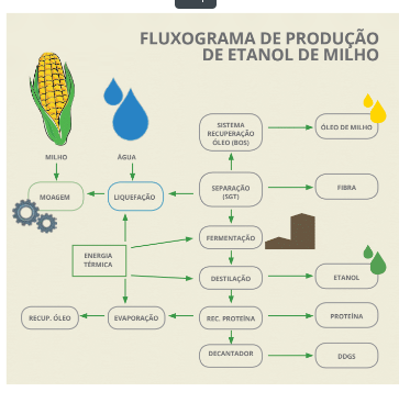 Comparativo: Etanol de Milho vs. Etanol de Cana