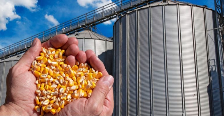 Impacto Econômico do Etanol de Milho em Mato Grosso