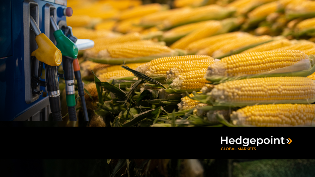 Guia Completo dos Coprodutos do Etanol de Milho