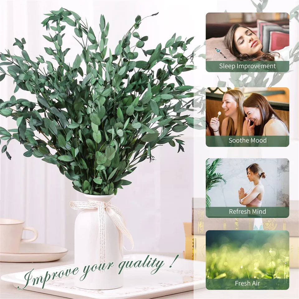 eucalipto natural versus artificial qual escolher para decoração