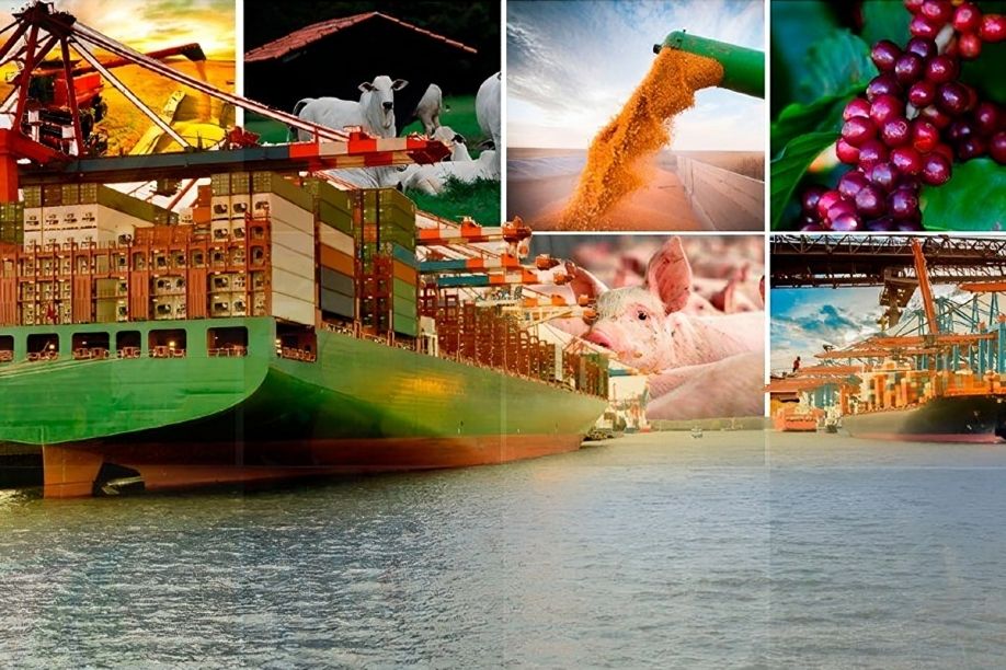 Como a China Impulsiona as Exportações de Carne e Soja do Brasil