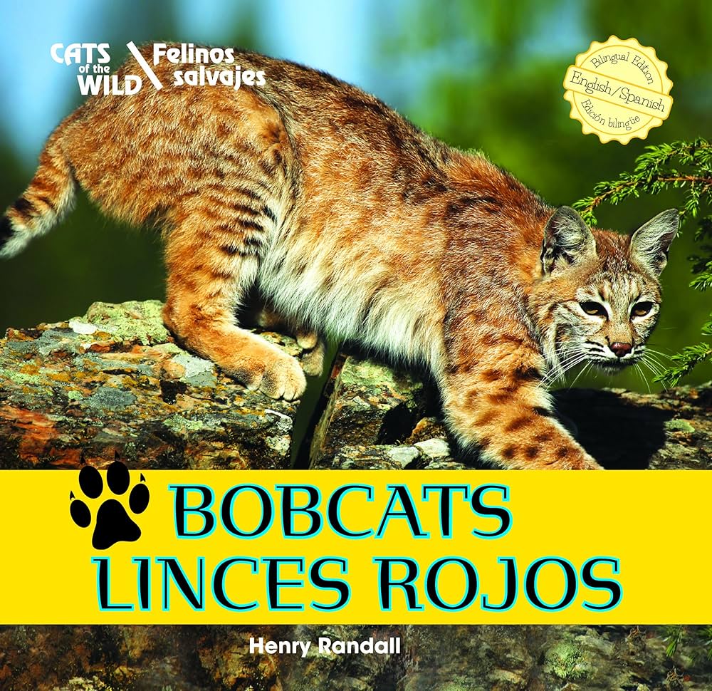 Felinos Brasileiros em Extinção: Causas e Ações de Conservação