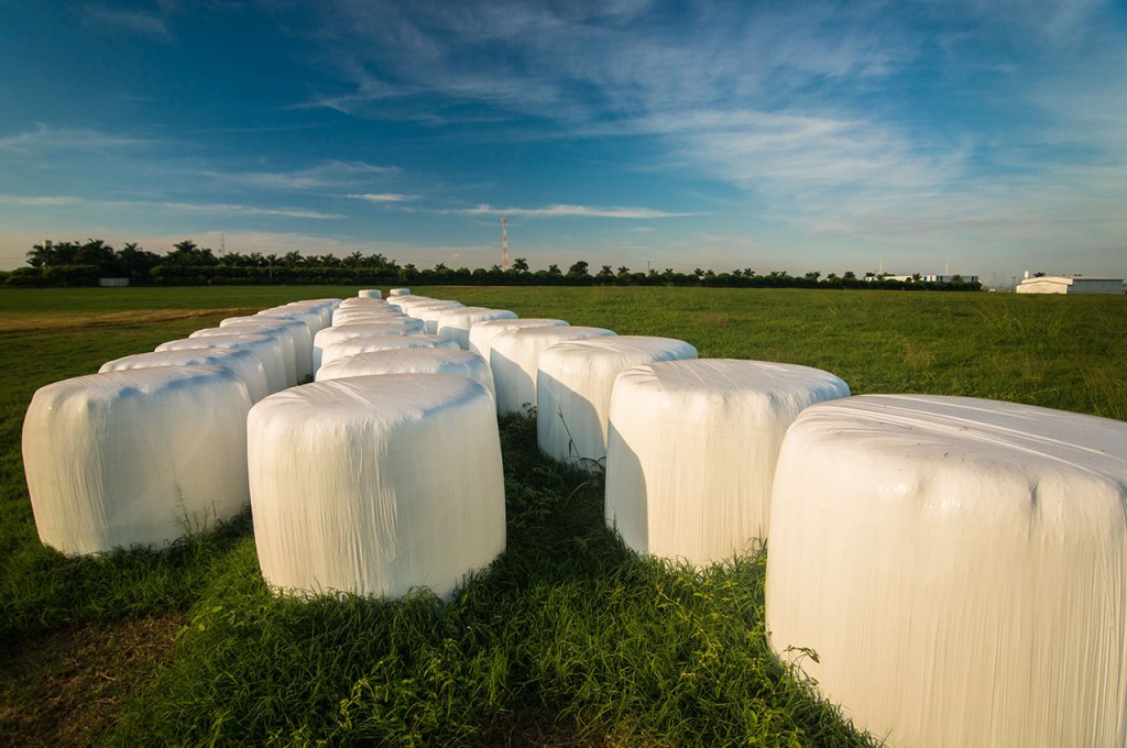 Impacto da umidade na qualidade da silagem