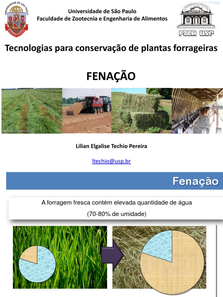 Benefícios da fenação para a saúde equina