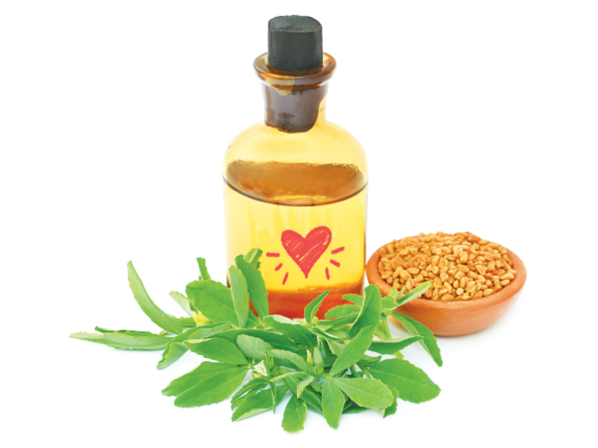 feno-grego antes e depois