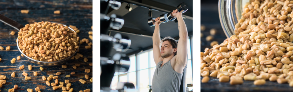 Benefícios e Cuidados Essenciais
4. A Dupla Poderosa: Feno Grego e Óleo de Semente de Abóbora para Saúde Hormonal
5. Feno Grego para Emagrecimento e Controle Glicêmico: Mitos e Verdades