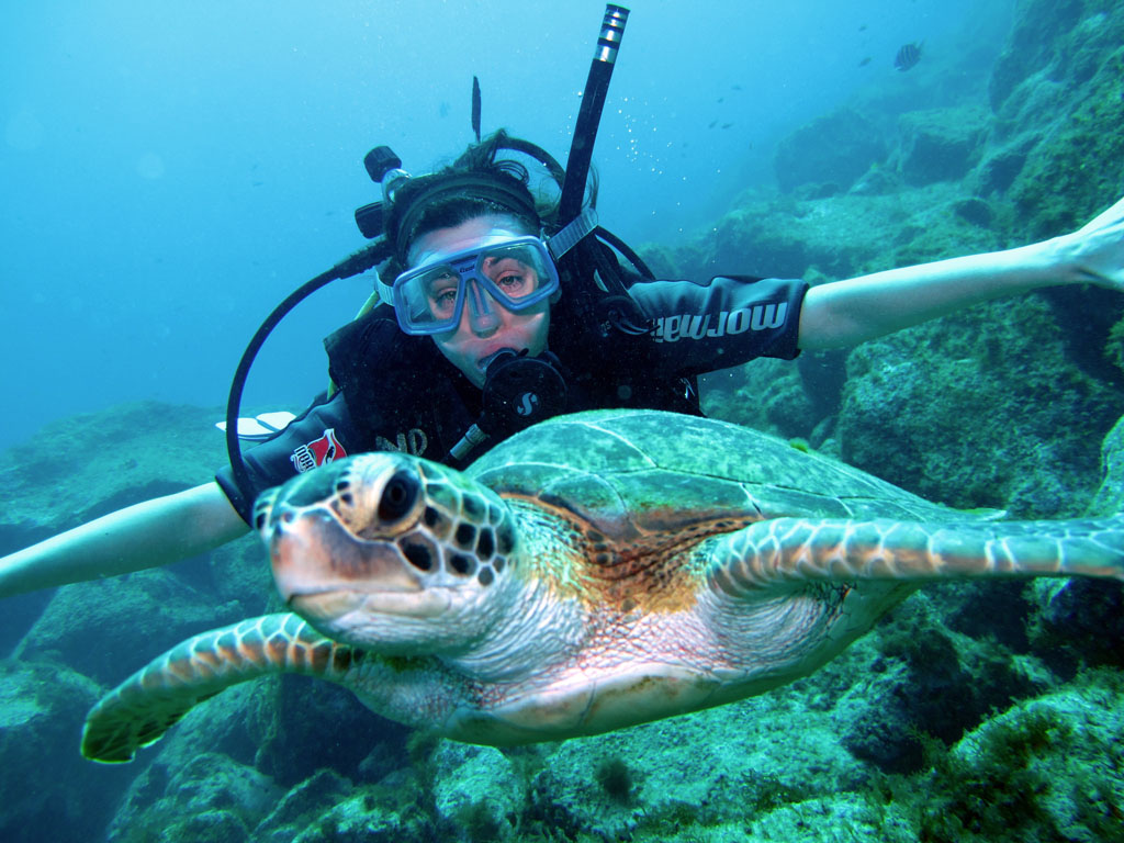 Guia completo: Como escolher seu passeio de canoa havaiana em Noronha