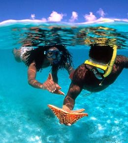 Guia completo: Como escolher seu passeio de canoa havaiana em Noronha