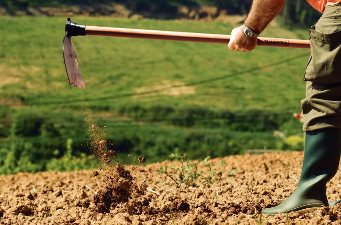 Manutenção de ancinhos e pás: dicas práticas