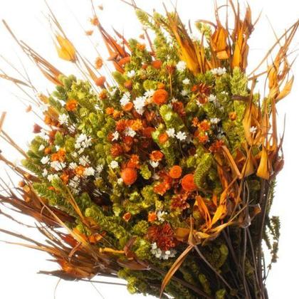 como cuidar de flores secas