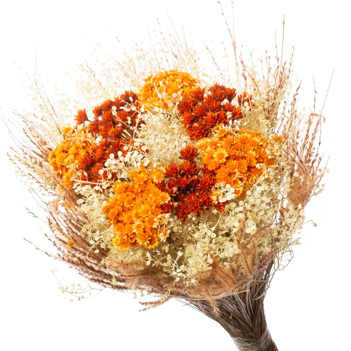 onde comprar flores secas