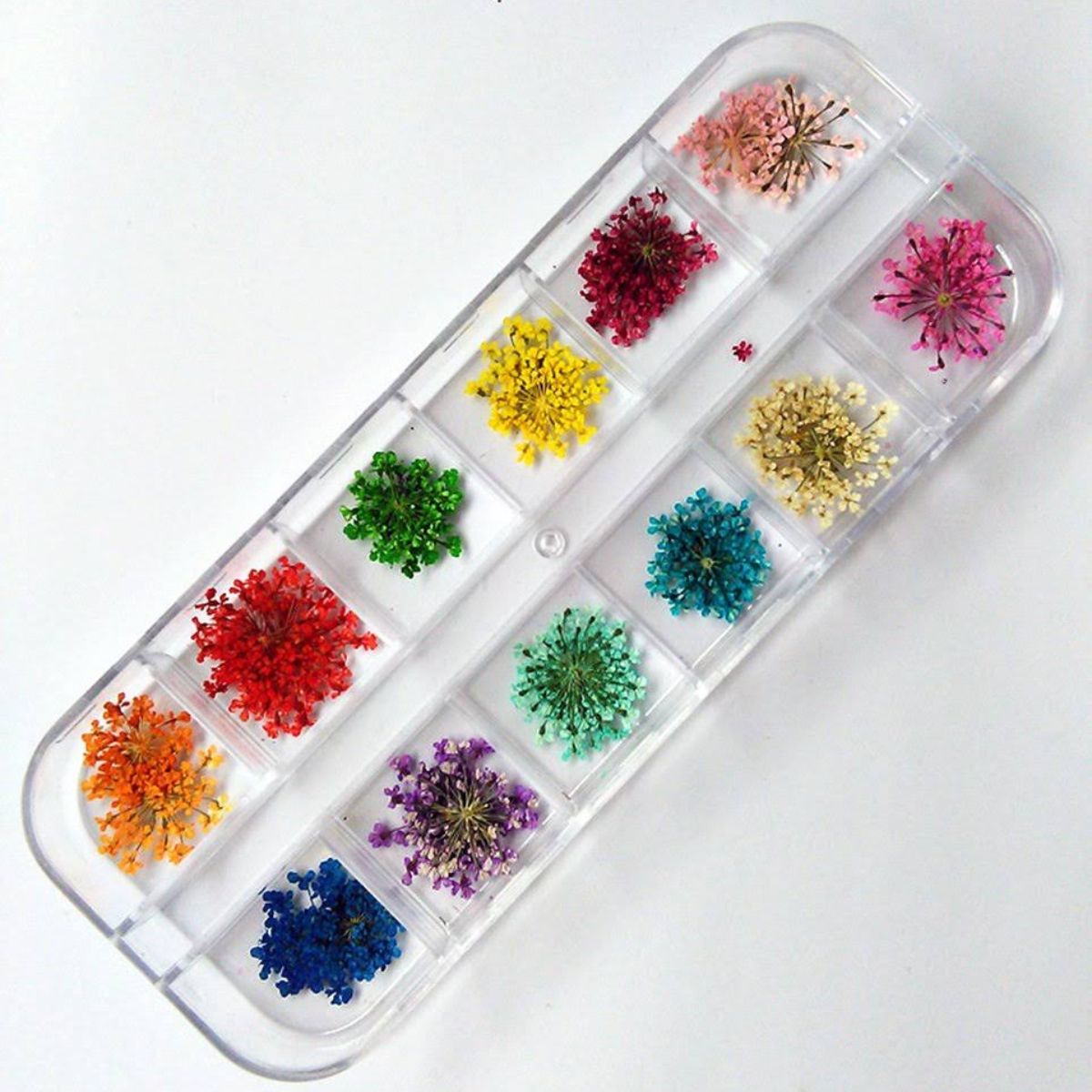 flores secas vintage