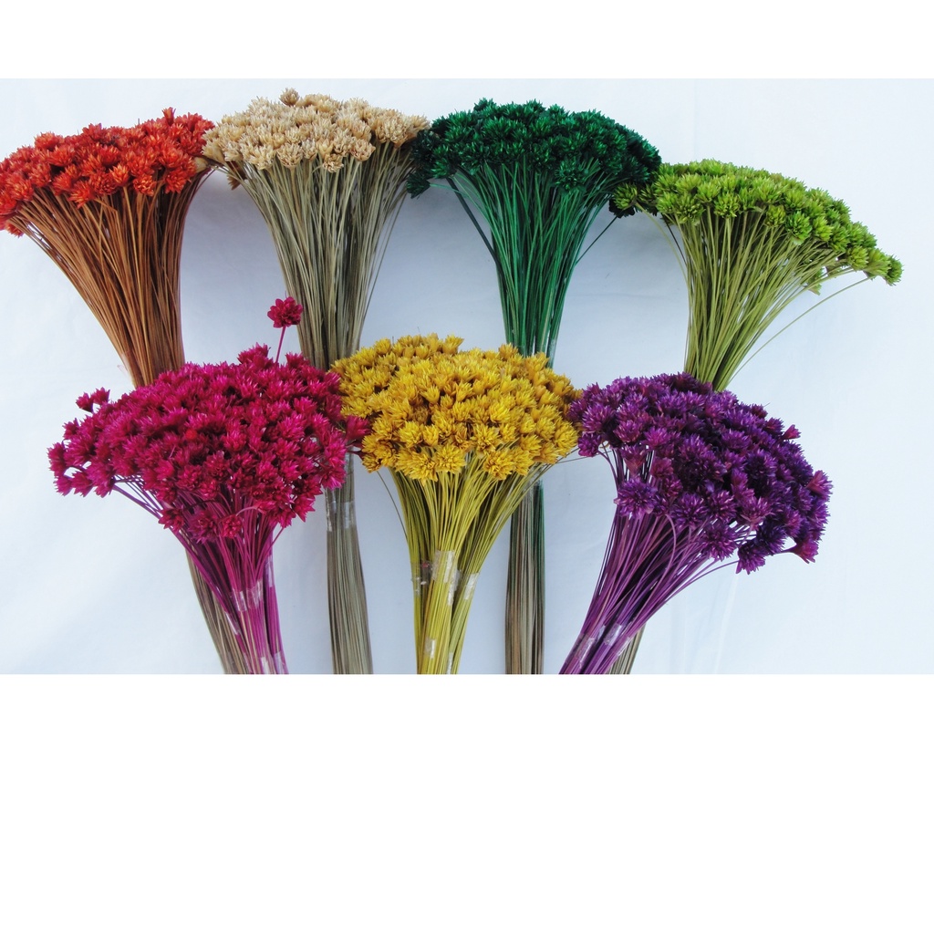 decoração com plantas secas