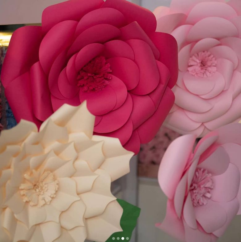 decoração com plantas aéreas