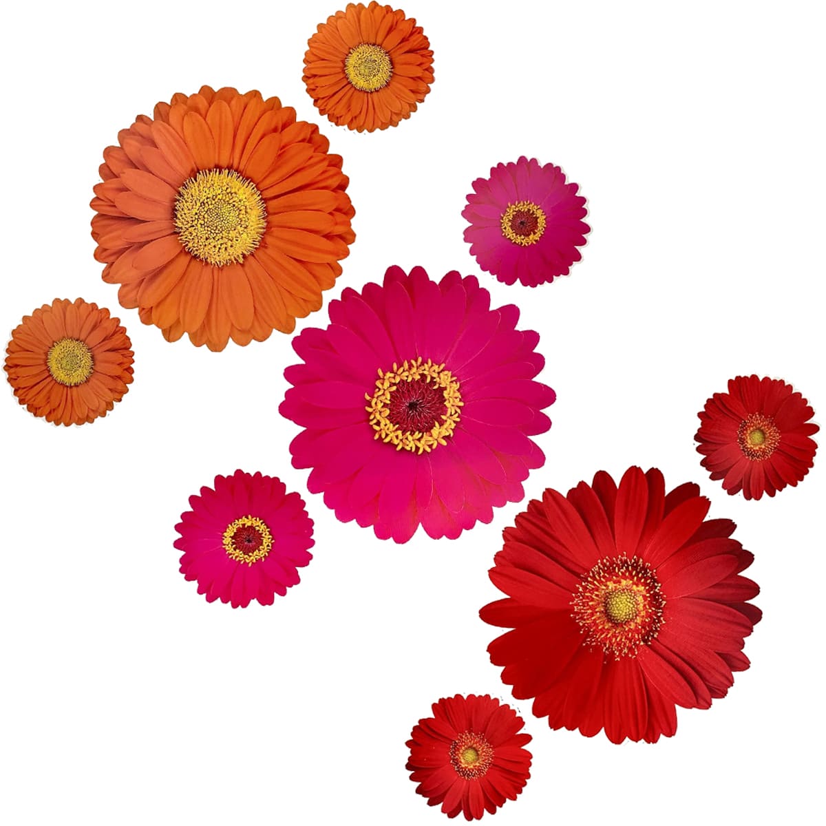 flores suspensas para festa