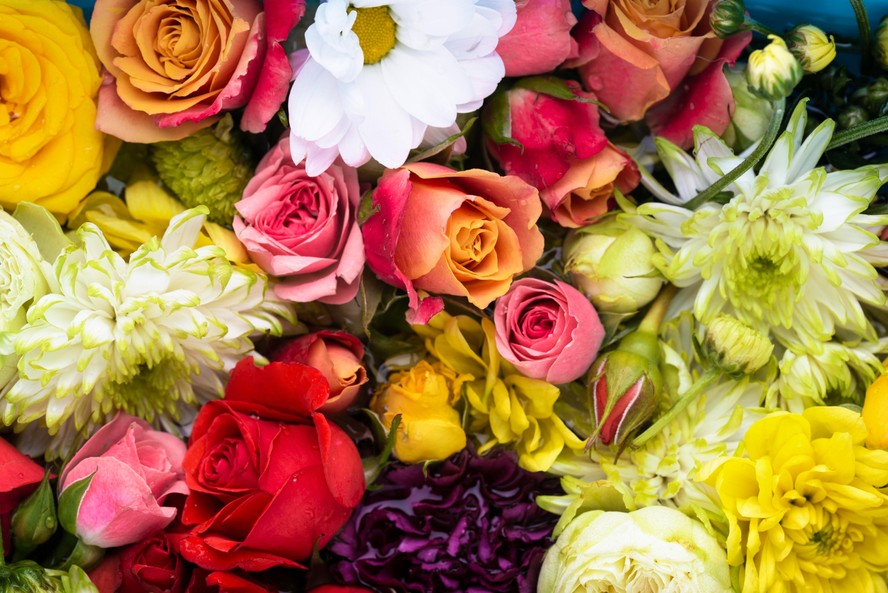 vasos para flores naturais