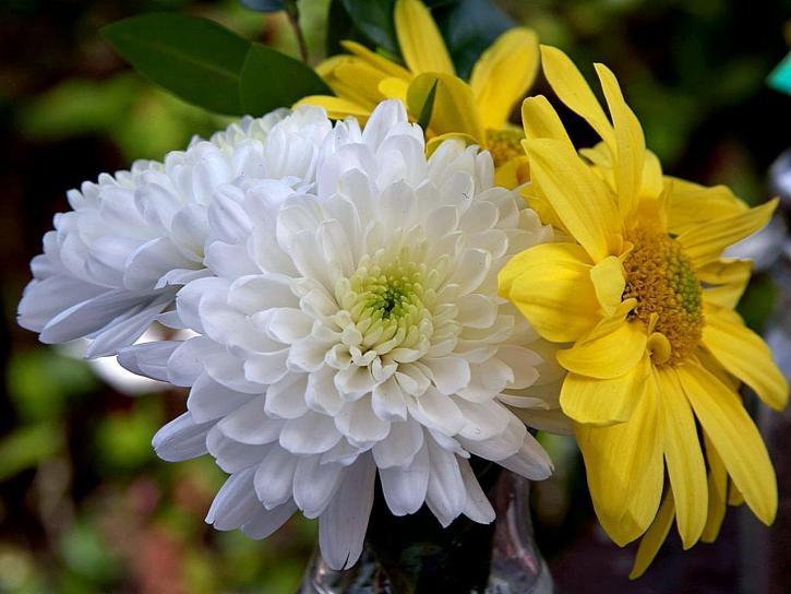 flores pequenas para centro de mesa