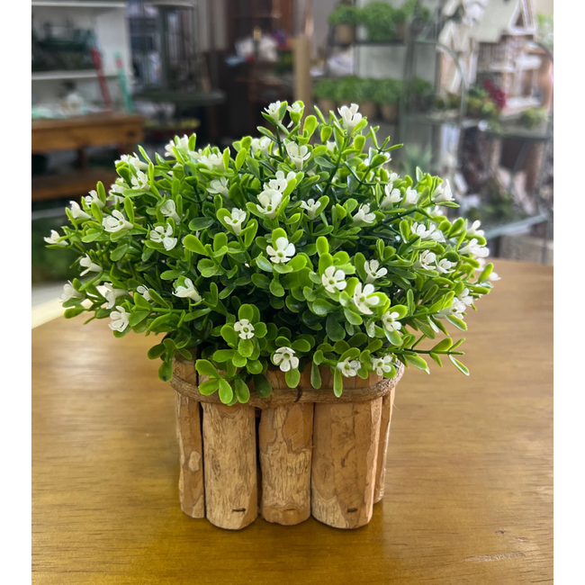 flores para prateleira
