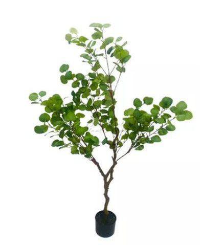 custo benefício folhas de eucalipto para decoração