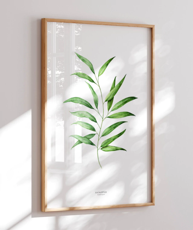 folhas de eucalipto para decoração