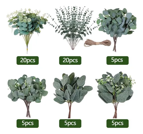 folhas de eucalipto para decoração