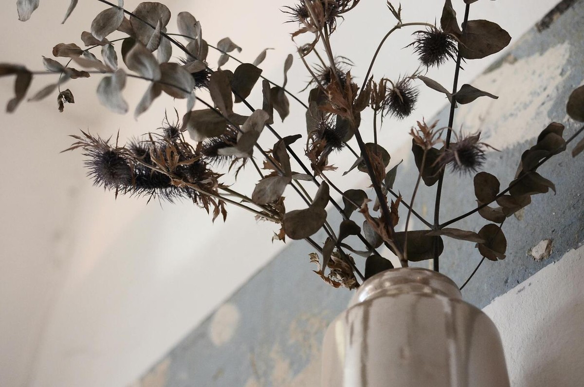 folhas de eucalipto para decoração