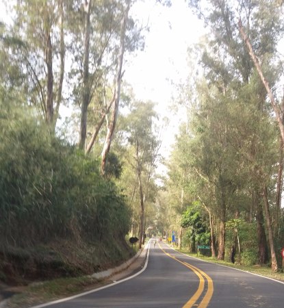 banco de imagens para fotos de natureza profissional