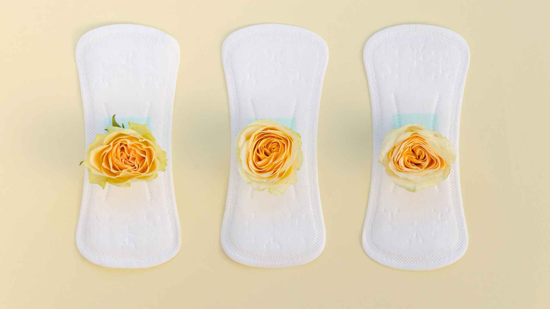 Tampão Mucoso: O Que Significa e Quando Ele Sai na Gestação?