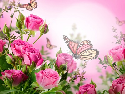 As Flores Mais Exóticas do Mundo: Um Guia Visual