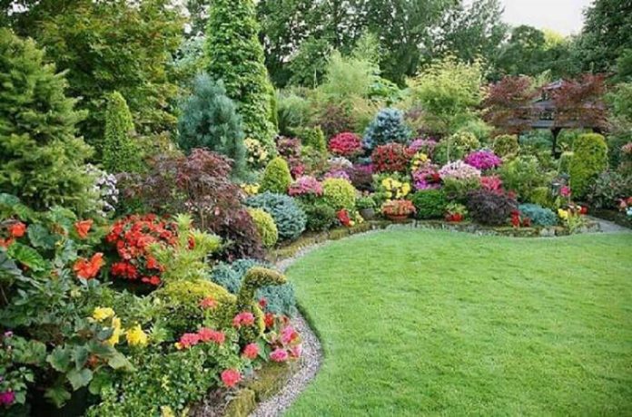 5 ideias de títulos:
1. Guia Completo: Como Criar um Jardim Florido dos Sonhos
2. Tendências de Paisagismo 2025: Jardins Sustentáveis e de Baixa Manutenção
3. As Melhores Plantas para um Jardim Florido o Ano Todo
4. Transforme Seu Espaço: Ideias de Jardins Pequenos e Charmosos
5. Estilos de Jardim: Do Inglês ao Tropical
