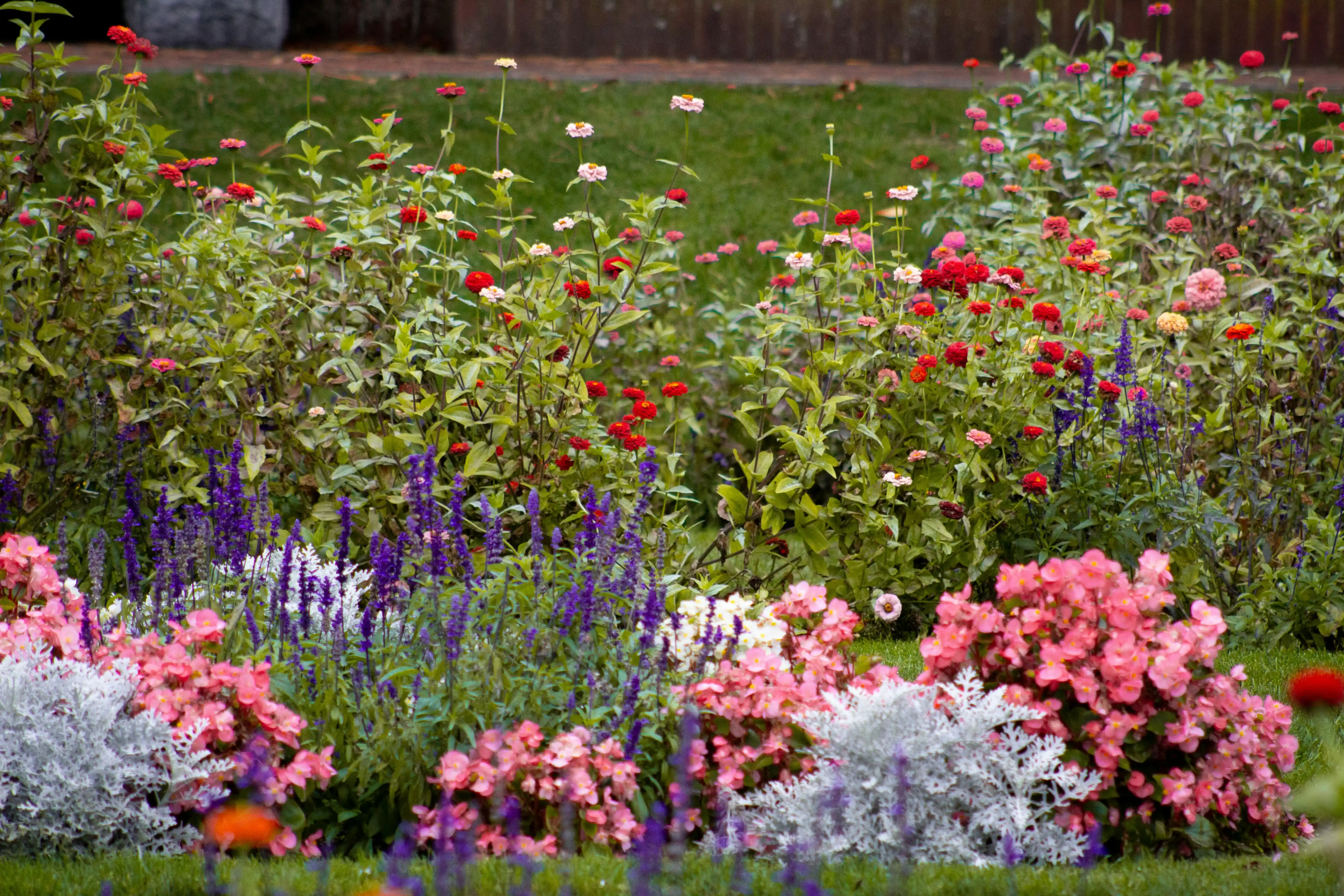 fotos de jardins floridos