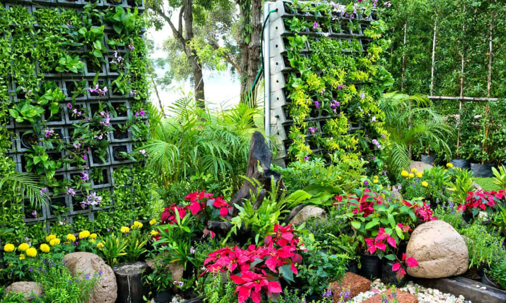 fotos de jardins floridos