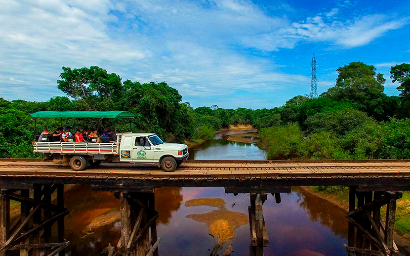 fotos do pantanal mato grosso