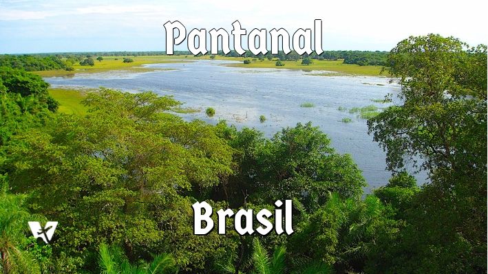 Melhores pousadas no Pantanal