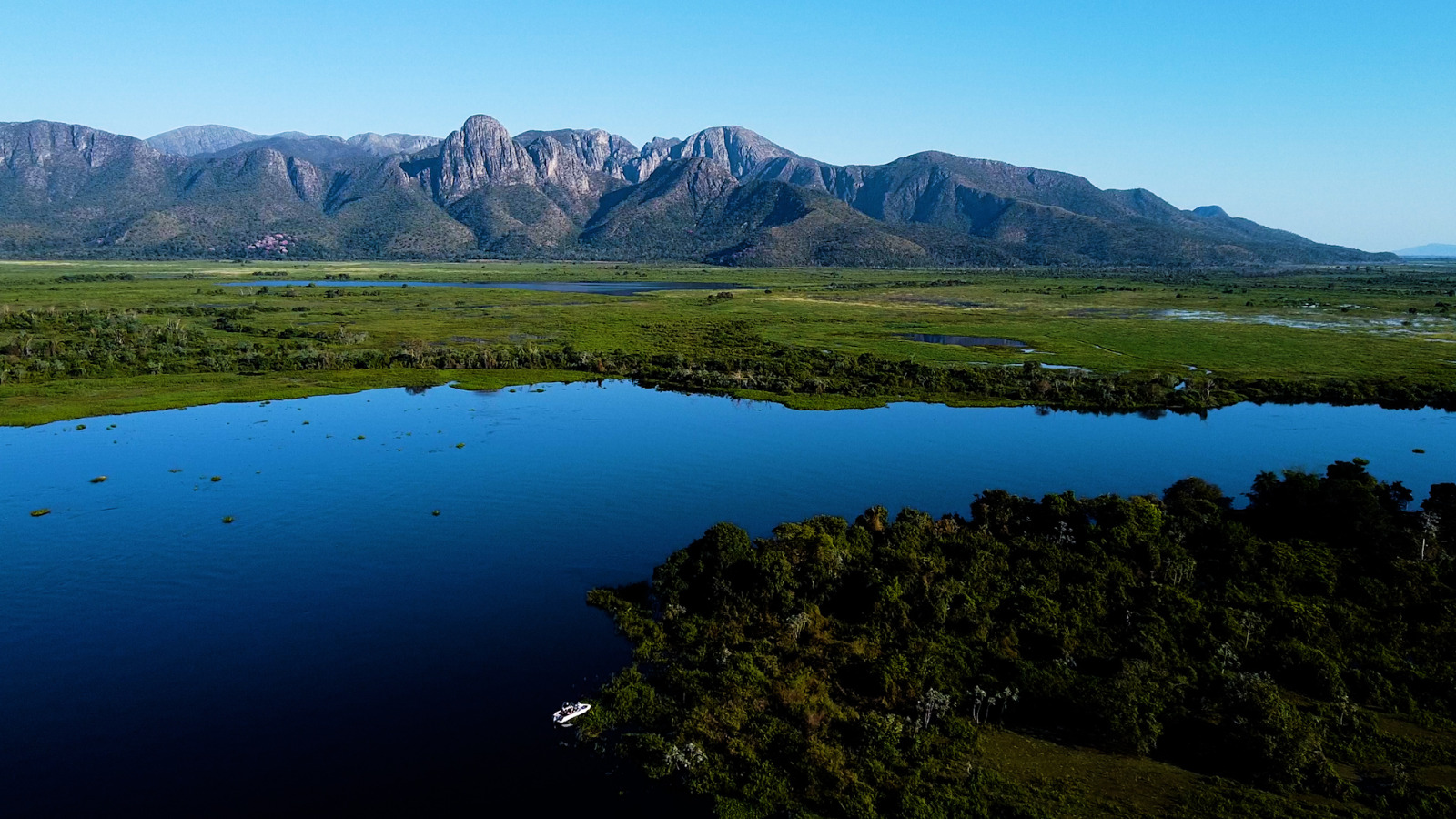 fotos do pantanal mato grosso