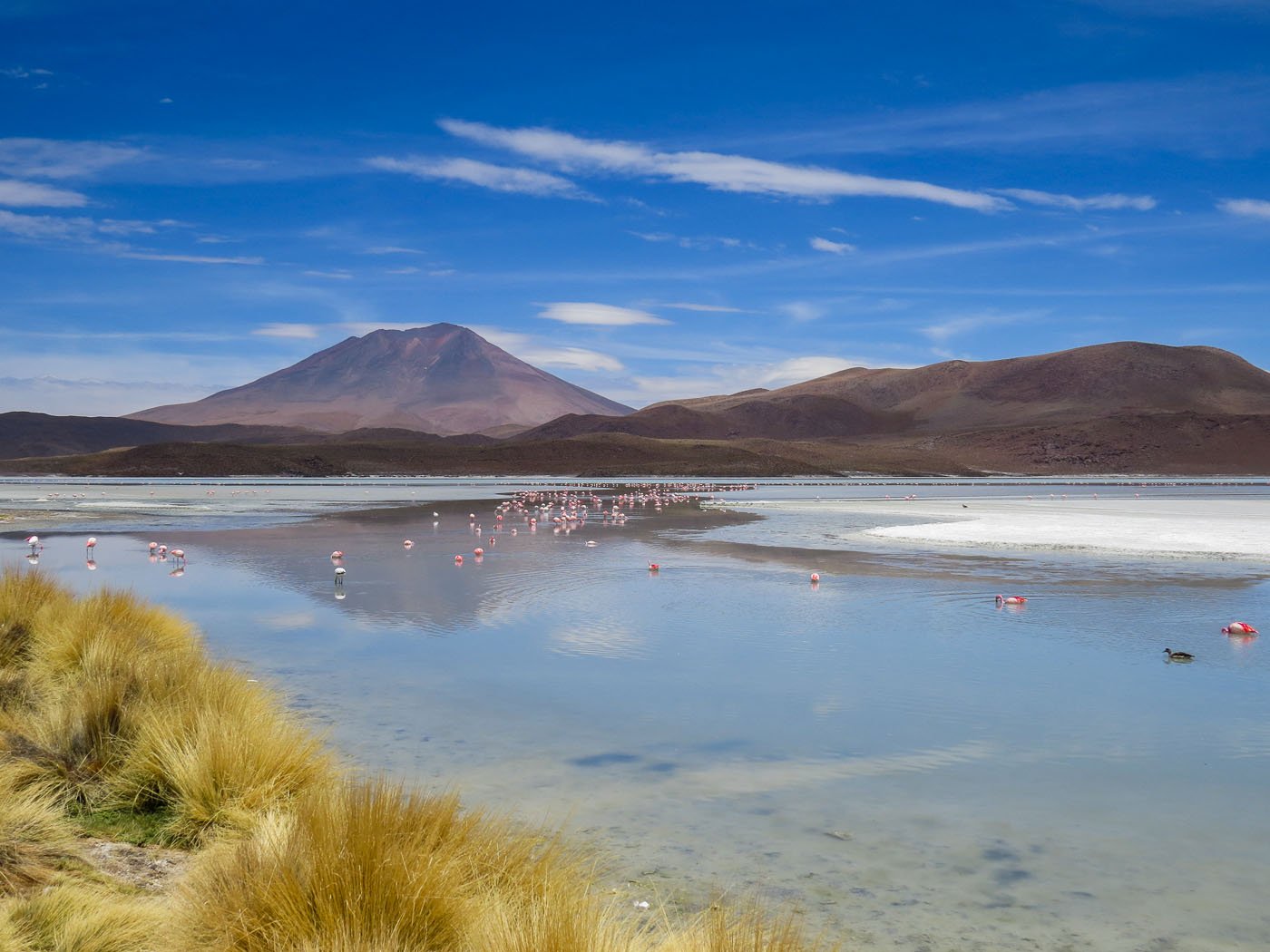 Como Usar Imagens de Paisagens Naturais em Seus Projetos (e Onde Encontrá-las)