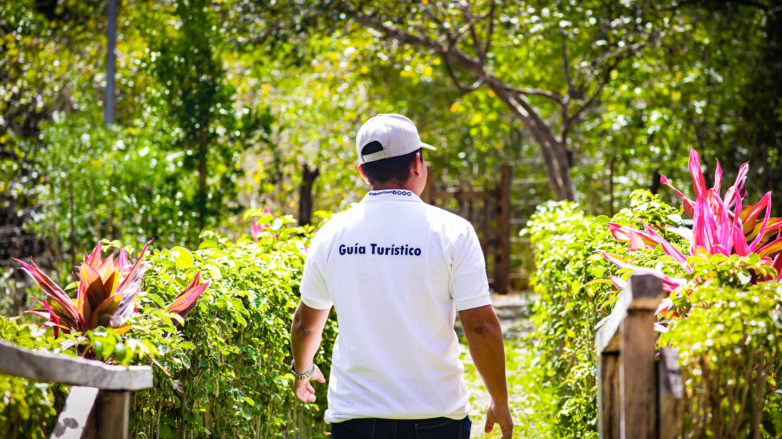 Descubra a Culinária Baiana nos Restaurantes de Salvador