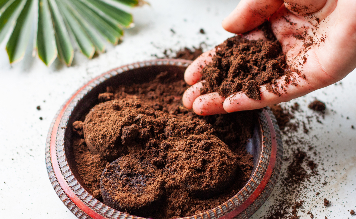 Café para Crescimento Capilar: Mitos e Verdades