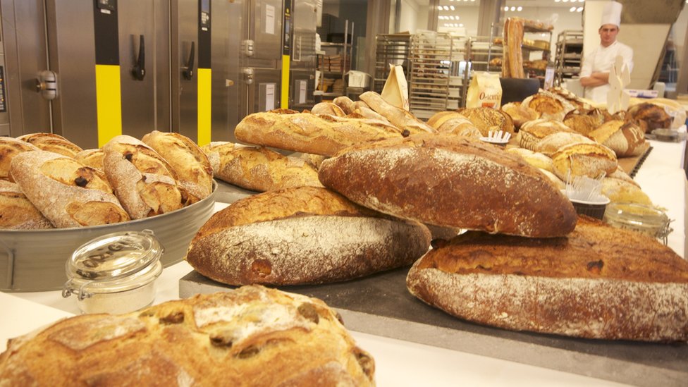 A Jornada do Pão: Do Egito Antigo à Mesa Moderna