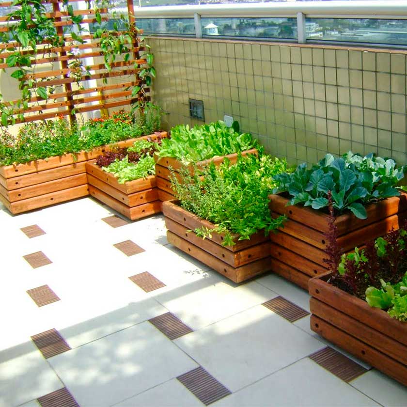 5 Temperos Essenciais para Sua Horta de Apartamento