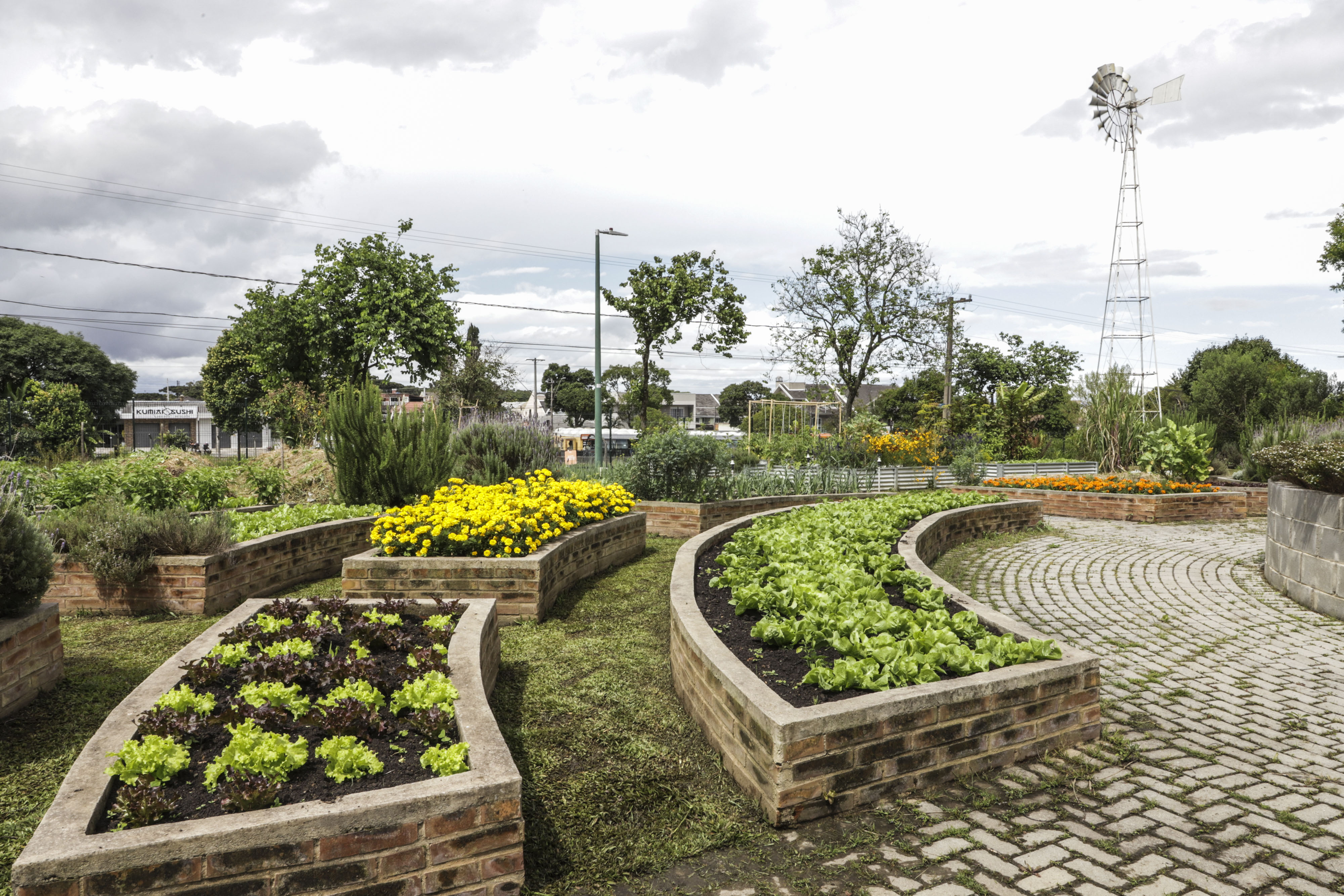 Como Escolher os Melhores Vasos para Sua Horta Doméstica