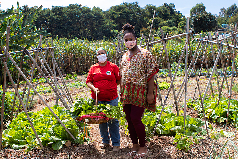 Benefícios Ambientais e Econômicos da Horta Mandala
