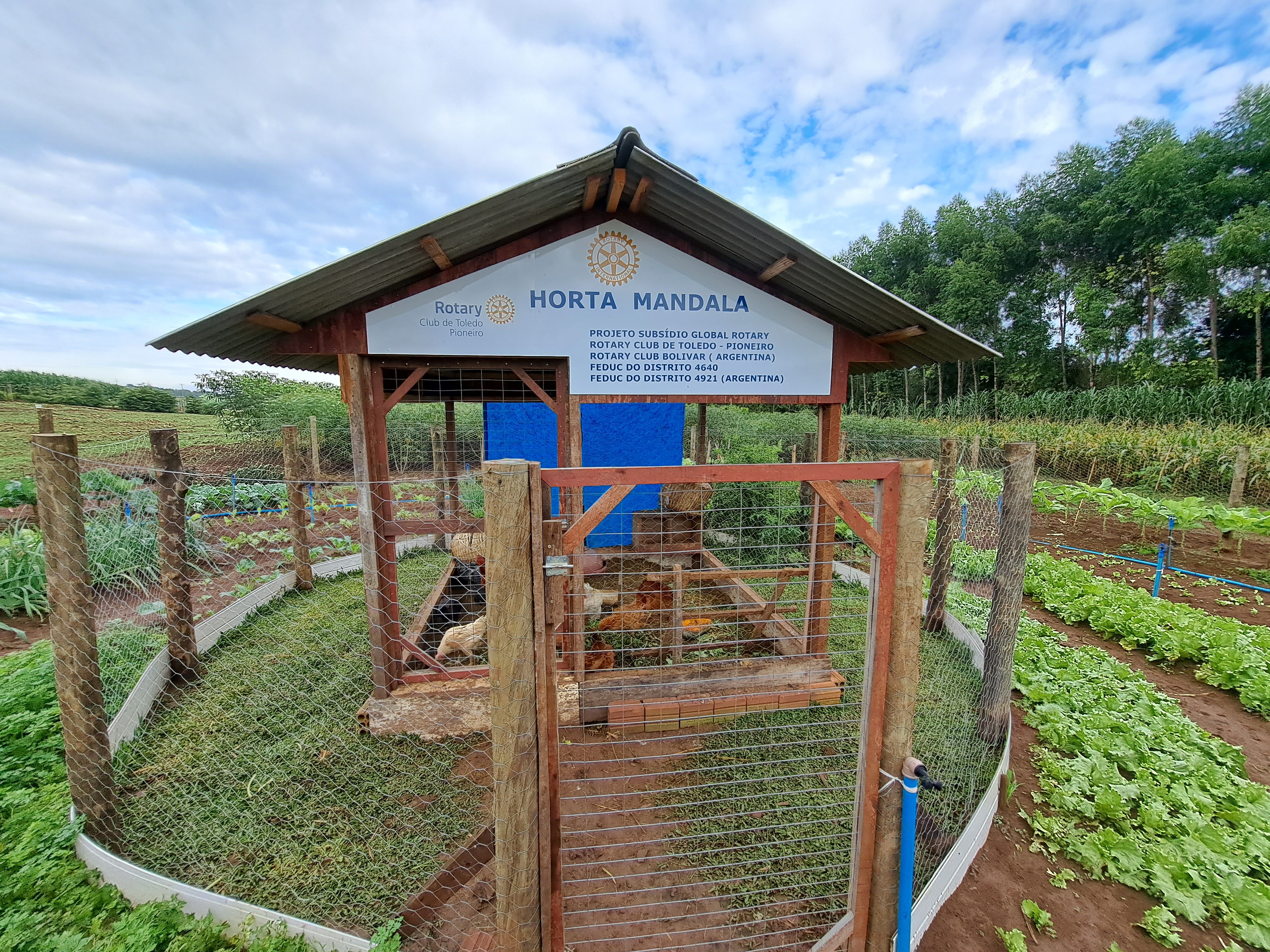 As Melhores Plantas para Consorciar na Horta Mandala